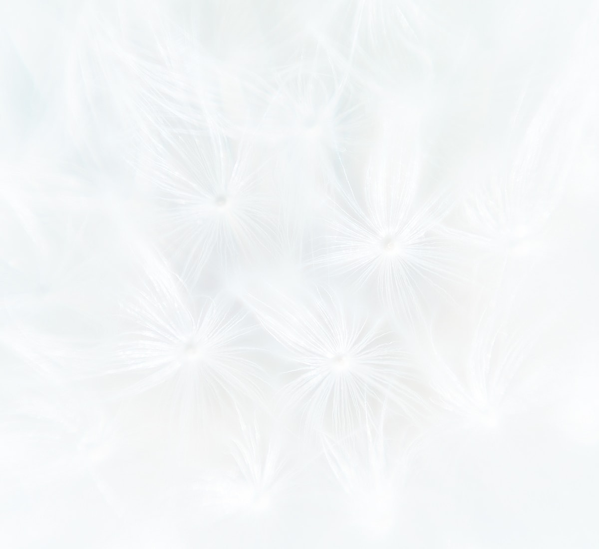Abstract soft gradient of white tones.