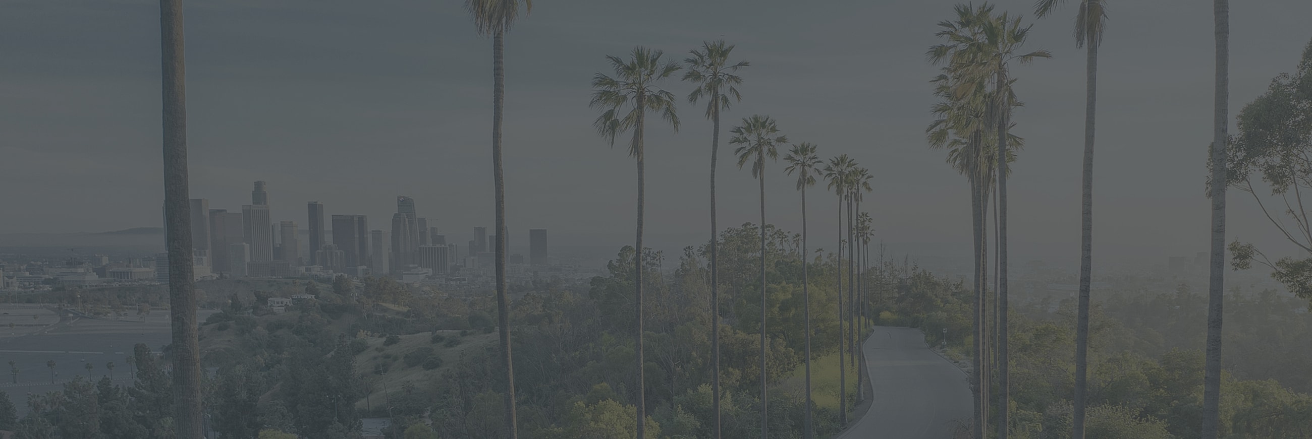 Main Form Background Image